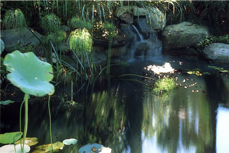 Colonial Style Garden
