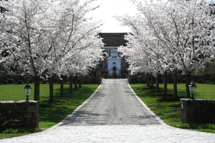 Georgian Style Garden