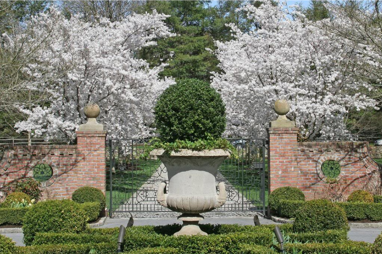 Georgian Style Garden