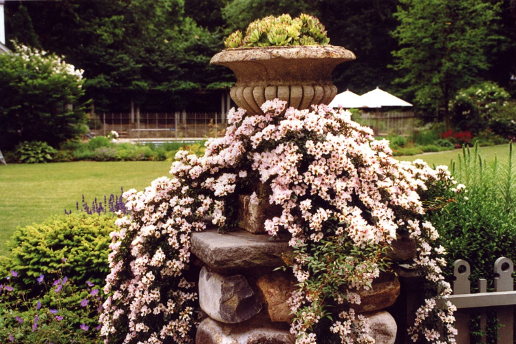 Victorian Style Garden